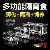 Fish tank incubator box guppy breeding box external use for small fish anchovies goldfish juvenile fish delivery room guppy breeding box
