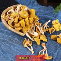 臻颐食 Куриное масло бакалавр 250 г золотистого гриба Юннань Специальные грибы грибы дикие грибы ингредиенты суп