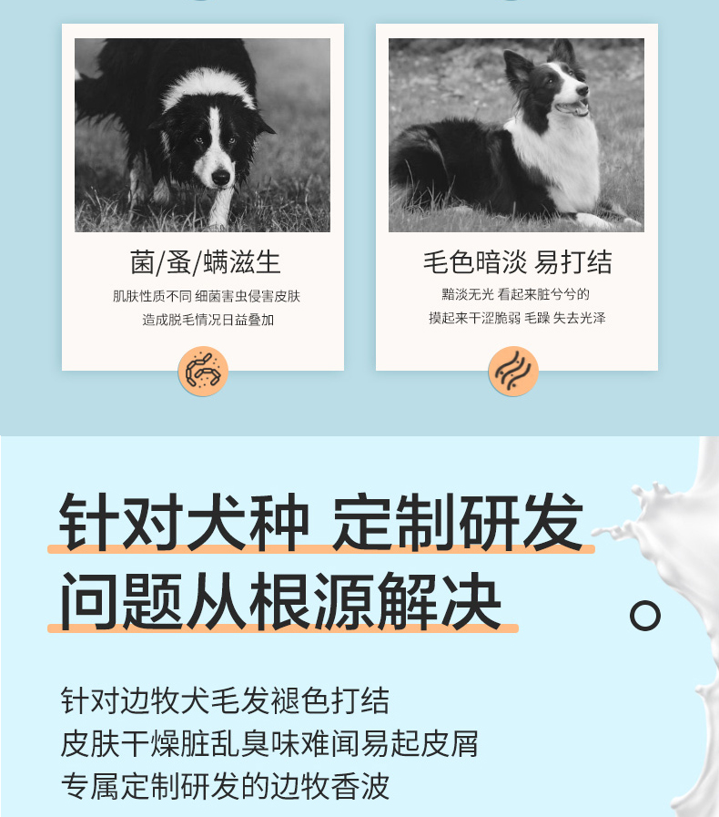 Шампунь-Ванна 边境牧羊犬沐浴露狗狗专用洗澡液边境牧羊犬幼犬柔顺蓬松除臭宠物狗用品