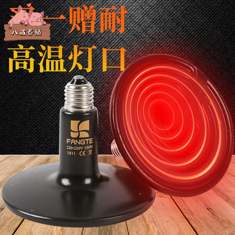 The chick uses the chicken to use the piglet with the piglet energy saving heating lamp ceramic insulated lamp cultured heating lamp temperature-controlled small chicken breeding