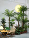 High-End Artificial Green Plant Coconut Tree Potted Plant Living Room Palm Tree Plant Landscaping Bionic Sunflower Decorative Ornament Bonsai