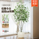 Artificial Eucalyptus Plants, High-End Luxury Living Room Decoration, Floor-Standing Ornaments, Indoor Potted Plants, Fake Flowers, Artificial Flower Arrangements