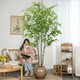 Artificial Plant Banyan Tree Green Plant Fake Tree Decorative Potted Plant Bionic Tree Indoor Living Room Floor-Standing Landscape Ornament Tree