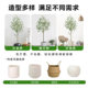 Nordic Style Artificial Plant Eucalyptus Money Tree Indoor Landscaping Large Floor-Standing Decoration Fake Tree Potted Plant