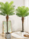 High-End Artificial Green Plant Coconut Tree Potted Plant Living Room Palm Tree Plant Landscaping Bionic Sunflower Decorative Ornament Bonsai