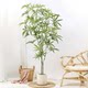 High-End Artificial Green Plant Peacock Tree Indoor Decoration Bionic Plant Fake Tree Living Room Ornament Fake Flower Tree Floor-Standing Potted Plant