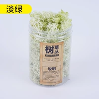 1 бутылка светло -зеленого