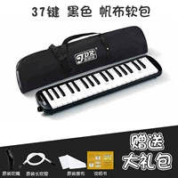 Мягкий холщовый футляр с 37 клавишами черного цвета [стандарт]