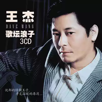 Wang Jie cd genuine album Classic old songs Popular songs Music CD Car cd disc distortion-free vinyl record