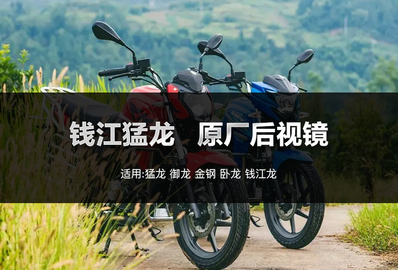 Qianjiang Motorcycle Raptors QJ150-26H Yulong Gold Steel Wolong Qianjianglong QJ125 Rear View Mirror Mirror