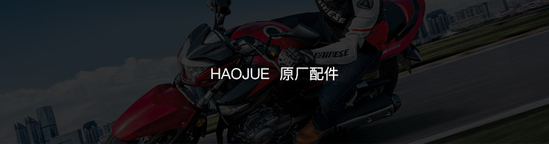 For Haojue original GSX250 GW DL250 DR300 ignition coil high voltage package high voltage cap igniter