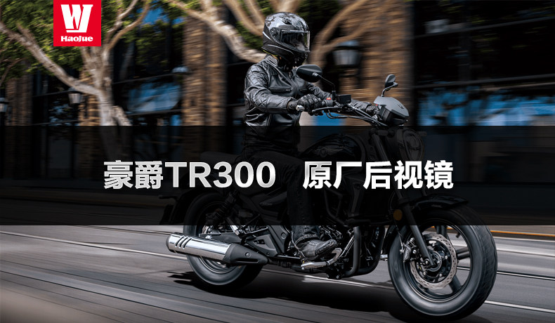 Applicable to Haojue Motorcycle TR300 Rear View Mirror HJ300-3A Mirror Rear View Mirror Original Accessories