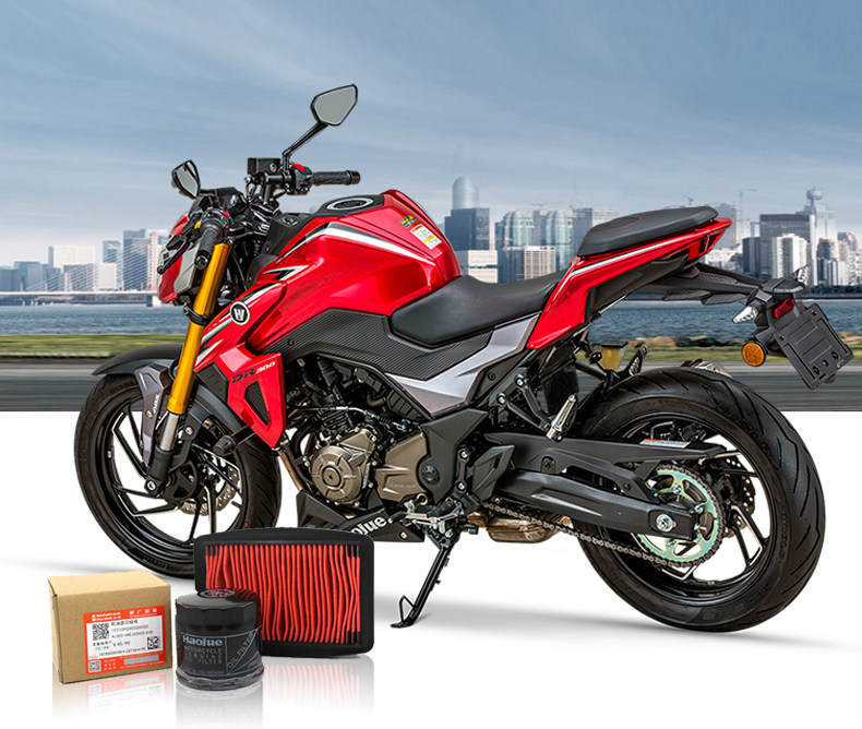 Applicable to Haojue original motorcycle DR250 TR300 XCR machine filter air filter oil grid air filter original factory