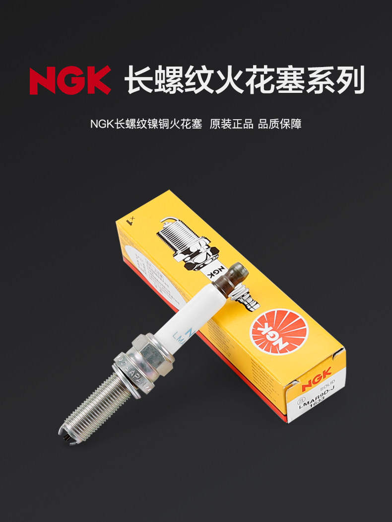 Water Bird R1200Gs K1600Gt C600 C650Gt F750 F850 Ngk Spark Plug