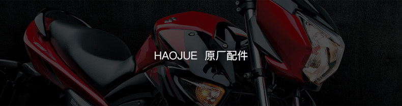 For Haojue original GSX250 GW DL250 DR300 ignition coil high voltage package high voltage cap igniter