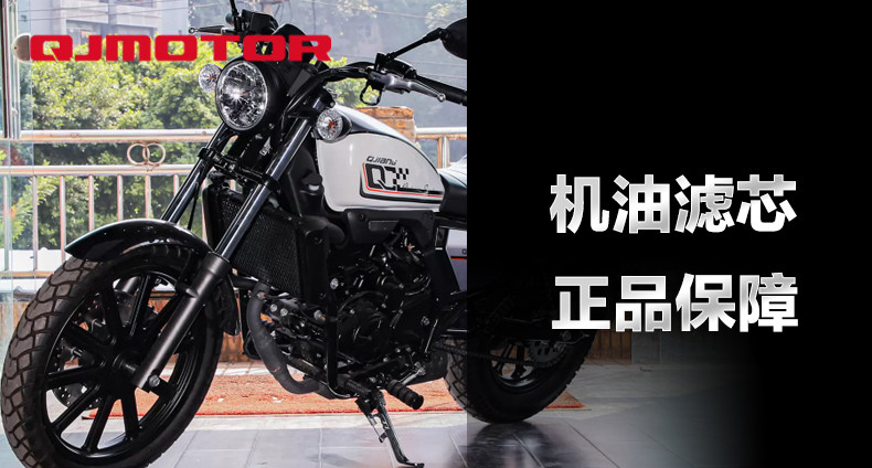 Original Qianjiang Motorcycle Glory 250 QJ250-2H Oil Filter Element Filter Machine Filter Oil Gage