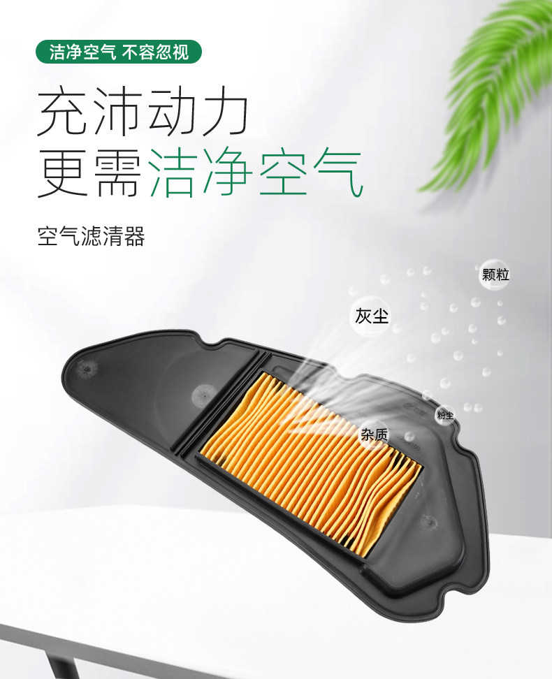 Dayang pedal motorcycle VRS DY125T-20 DY150T-20 air filter element filter air filter accessories