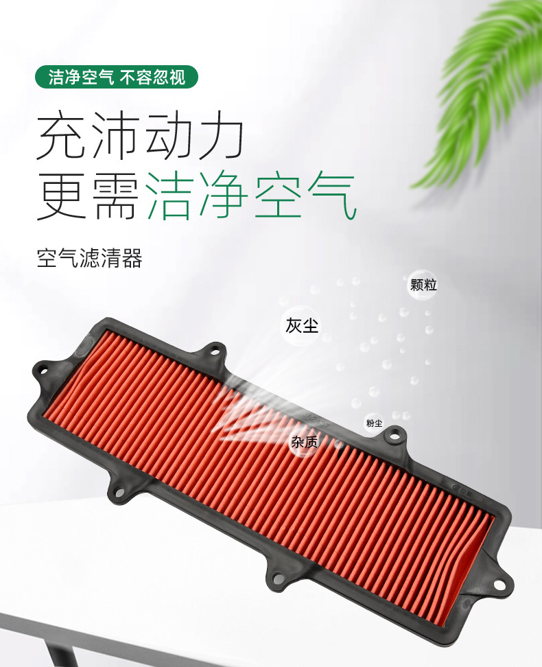 Shengshi Pedal Motorcycle 310M ZT310-M Oil Filter Air Filter Air Filter Accessories