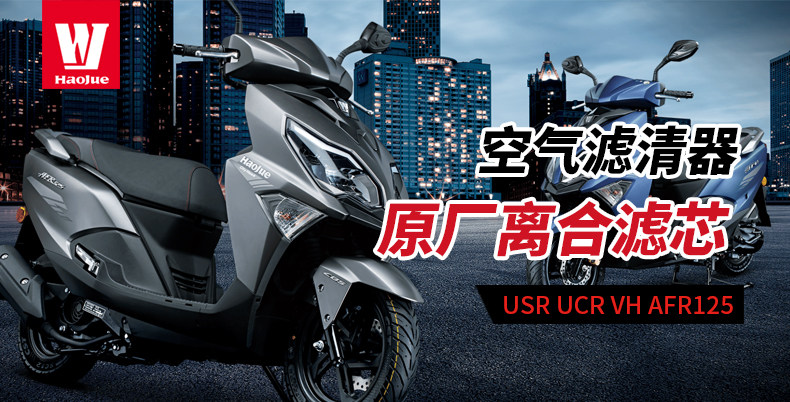 Suitable for Haojue Scooter Vx Usr Ucr Vh Afr125 Air Filter Hj125T-20-21