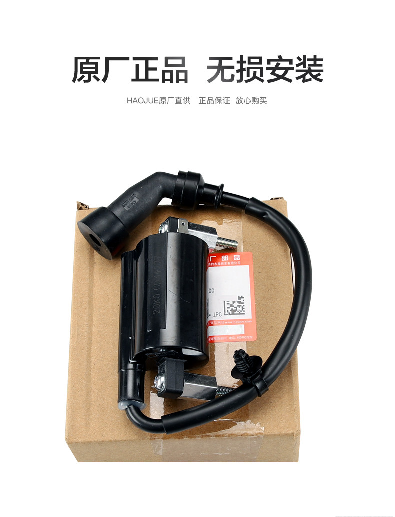 For Haojue original GSX250 GW DL250 DR300 ignition coil high voltage package high voltage cap igniter