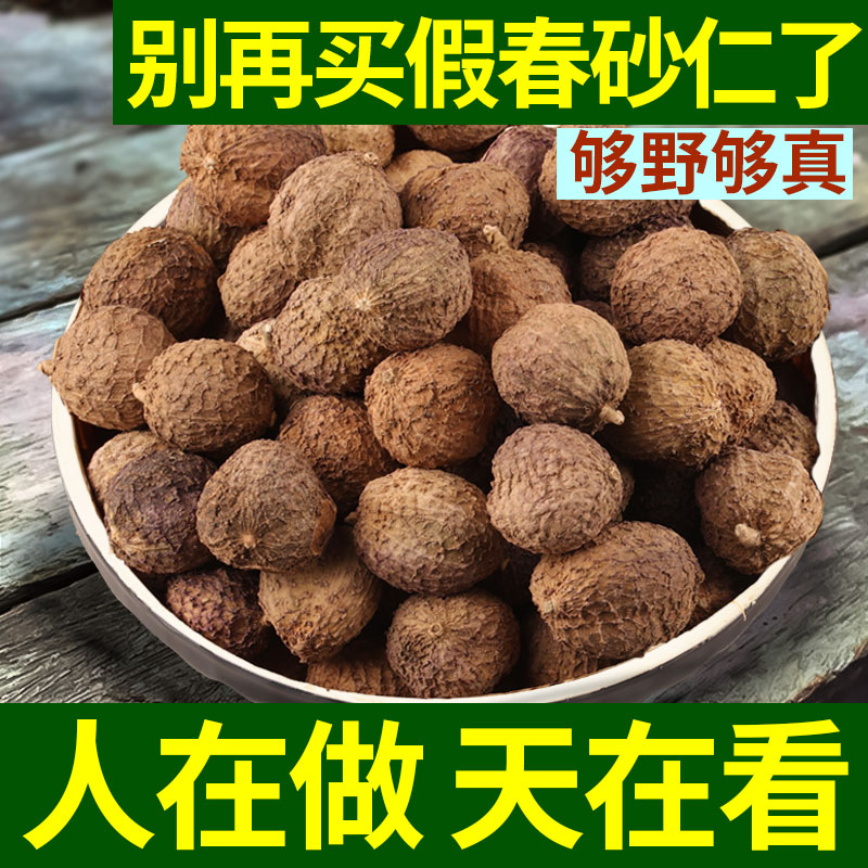 広東省陽春アモムムビロサム 漢方薬材料 本物の春 アモムムビロサム 粉末 スープとお茶用 広東省陽春アモムムビロサム
