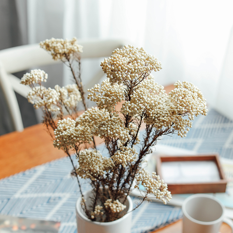 Natural real flower millet flower dry flower small fresh Nordic home B&B decorative flower immortal flower handmade DIY material