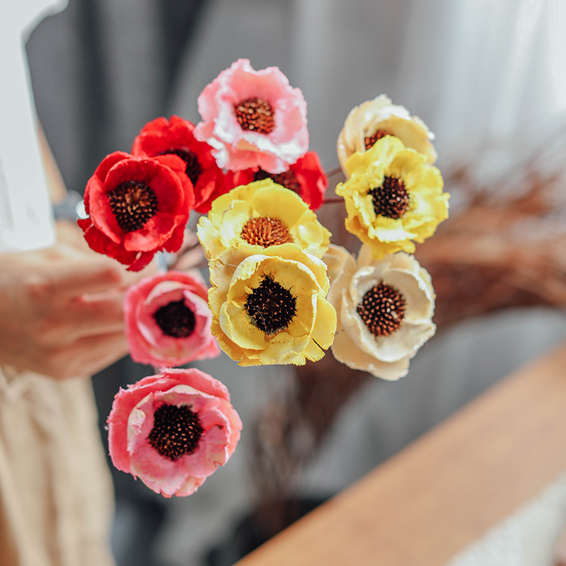 Nordic Day Style Decoration Natural Plant Art Dry Flowers Photo Props Art Little Fresh Retro Artisanal Yu Beauty