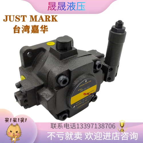 Spot Taiwan Jiahua Lastmark Leaf Pump HVP-40-FA3 HVP-30-FA2 HVP-20-FA1