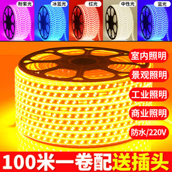 100m Golden Led Light Strip Outdoor Ambiance Light Villa Exterior Wall Night Scene Decorative Light Yellow Marquee Light