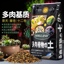 Succulents potted special nutrient soil granular soil planting Jingtian fan apricot twelve rolls of seedling leaf insertion formula soil