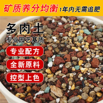 Imported succulent nutrient soil plant potted special granular soil paving stone Jingtian twelve rolls of professional formula soil