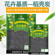 Growth Mo Li sterilization rice husk ash ash fleshy seedlings flower fertilizer potted plants medium mixed with soil rice husk charcoal smoked charcoal
