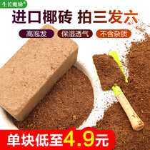 Imported coconut brick nutrient soil Sterile low salt coconut bran powder Coconut shell orchid soilless cultivation matrix flower cultivation vegetable coconut soil