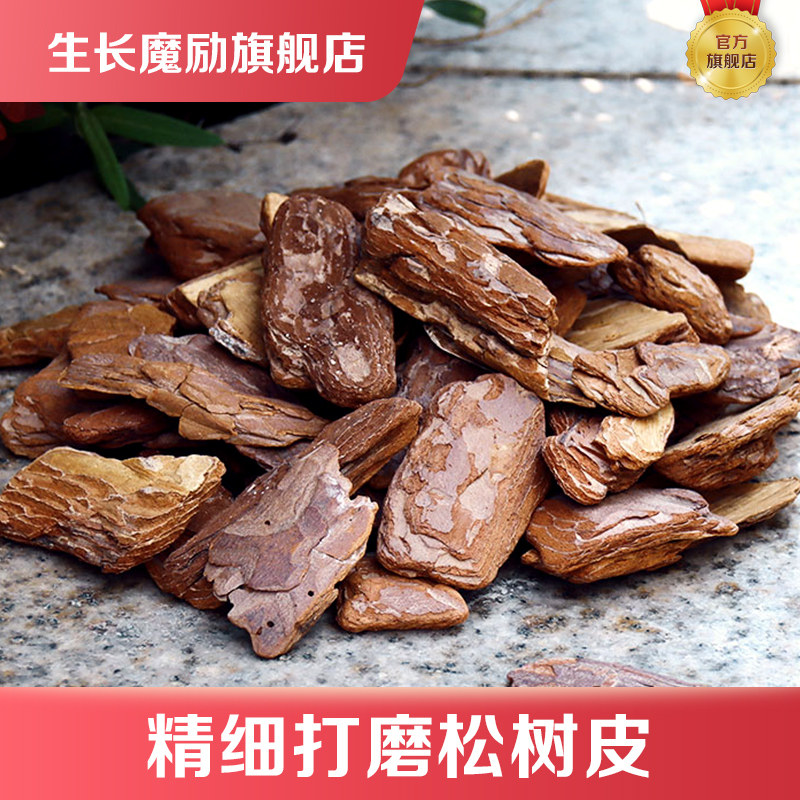 Fine polished pine bark butterfly Lankflower special native Lanko plant material dendrobium nutraceutical soil pine scale green plant paved surface stone