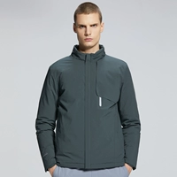 Серо-зеленый