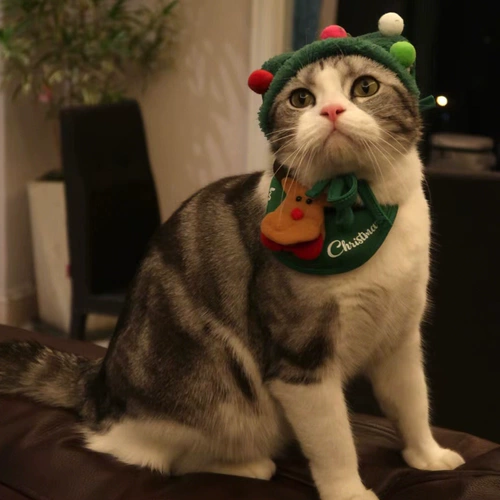 Рождественская шапка, слюнявчик, милый зимний шарф, наряжаться