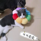 Подсолнечный кот Элизабет собака голова мягкая ткань человеческое кольцо бассейн Rannovies Подсолнечник Большой большой катал укус кошка мох