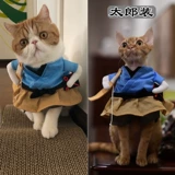 Кошка и одежда для кошки смешной, смешной дуйин тот же костюм для домашних животных кошачьи котенок котенок котенок, собачья одежда осень и зима