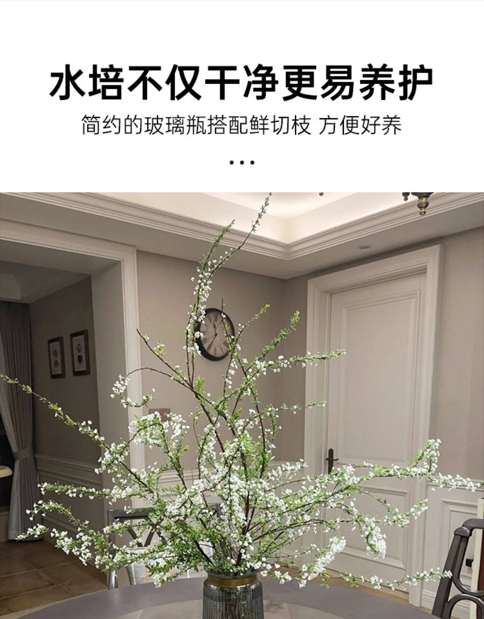 丹丹家 雪柳干枝遇水开花12枝 天猫优惠券折后￥5.9包邮（￥9.9-4）送营养液