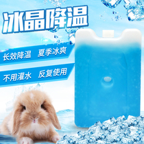 Radish Valley rabbit cooling ice box pet rabbit hamster ChinChin guinea pig ice crystal ice pack ice bed cooling plate