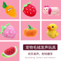 Radish Valley Pet Sound Plush Toys Grill Tooth Bite Resistance Training Dog Rabbit Interactive Toys Pet Supplies
