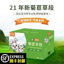 Radish Valley 21 years new drying chicory grass section rabbit ChinChin guinea pig chicory health forage grass gross weight 1kg