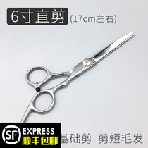 Pet rabbit styling beauty tools hairy scissors rabbit styling professional hairy scissors dog straight scissors