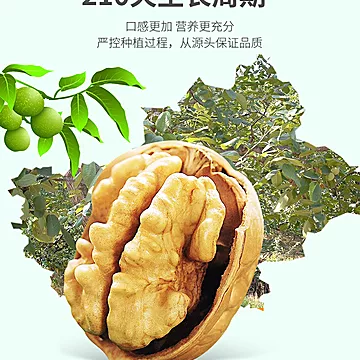 【果叔】新疆草本核桃2斤箱装[50元优惠券]-寻折猪