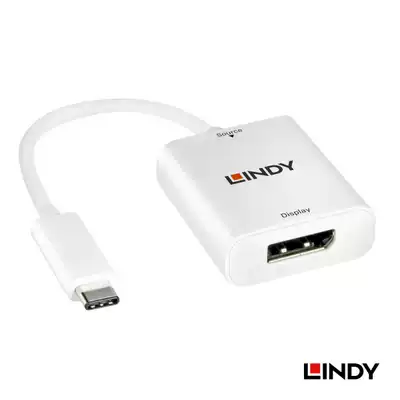 Germany LINDY USB 3 1 Type C turn DisplayPort HD DP adapter adapter