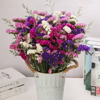 Роза красный+белый+розовый+фиолетовый+любовник трава 2 фунта