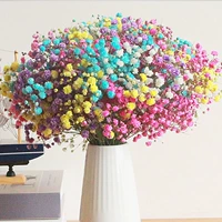 Цвет полный звездный луч (исключая бутылку)