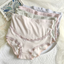 Pregnant Woman Underwear Pure Cotton Gestational Early Pregnancy Early Pregnancy Early Lady Comfort High Waist Tooabdominal Large Code Adjustable