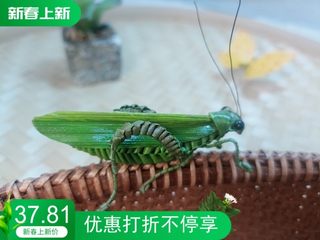 四川省非遗纯手工蝗虫蚂蚱学生作品标本六一儿童节竹制礼品新款