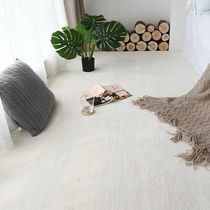 Nordic ins Solid Carpet Super Soft Thick Encrypted Living Room Tea Table Cushion Tatami Bedroom Full Bed Side Carpet